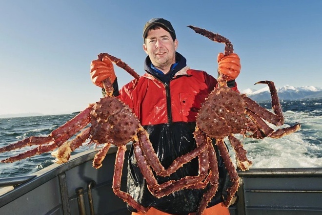 Nghề đánh bắt cua hoàng đế nguy hiểm bậc nhất thế giới