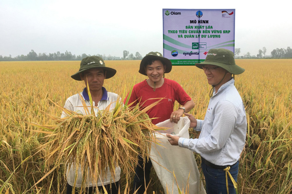 Liên kết chuỗi - ‘chìa khóa’ phát triển nông nghiệp bền vững