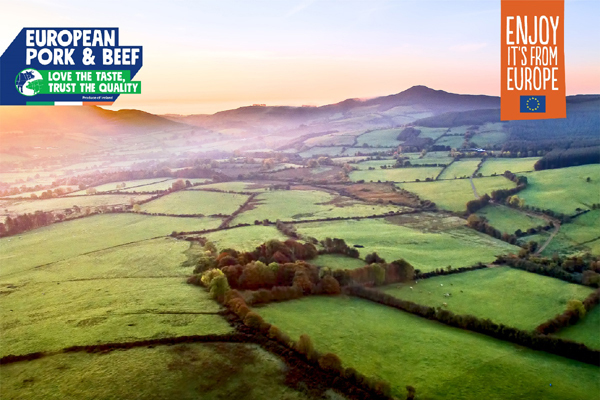 Cơ hội cho thịt heo và bò từ Ireland chinh phục thị trường Việt