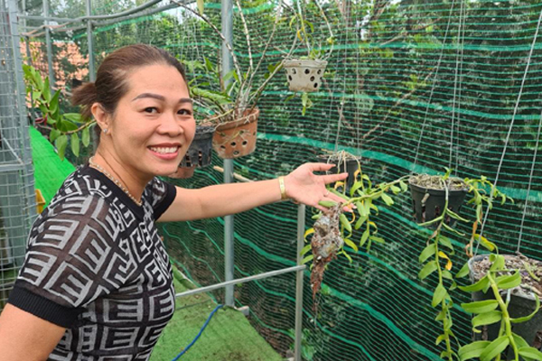 Từ trồng hoa lấy vui, người phụ nữ Huế sở hữu vườn lan 400 m2 ở Vũng Tàu