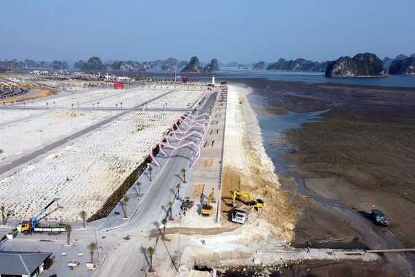 Vân Đồn mạnh tay với doanh nghiệp lấn chiếm 16.000m2 vịnh Bái Tử Long