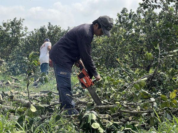 How to make a breakthrough for Mekong Delta’s agricultural products?