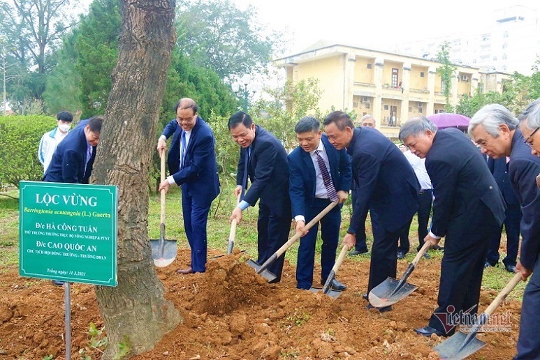 Trường ĐH Lâm nghiệp muốn trồng 75.000 cây xanh trong 5 năm