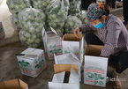 Farmers get help to sell produce via e-commerce