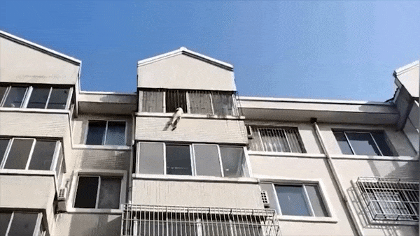 Bé trai mắc kẹt lơ lửng ngoài cửa sổ tầng 4