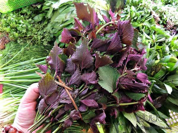 Vietnamese exquisite herbs and spices