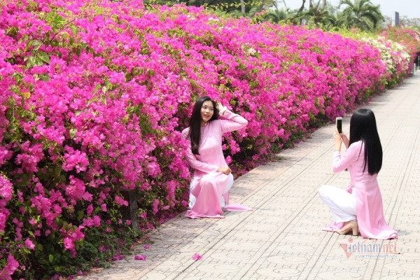 Bức tường hoa đẹp mê mẩn thu hút thiếu nữ Sài thành đến check-in