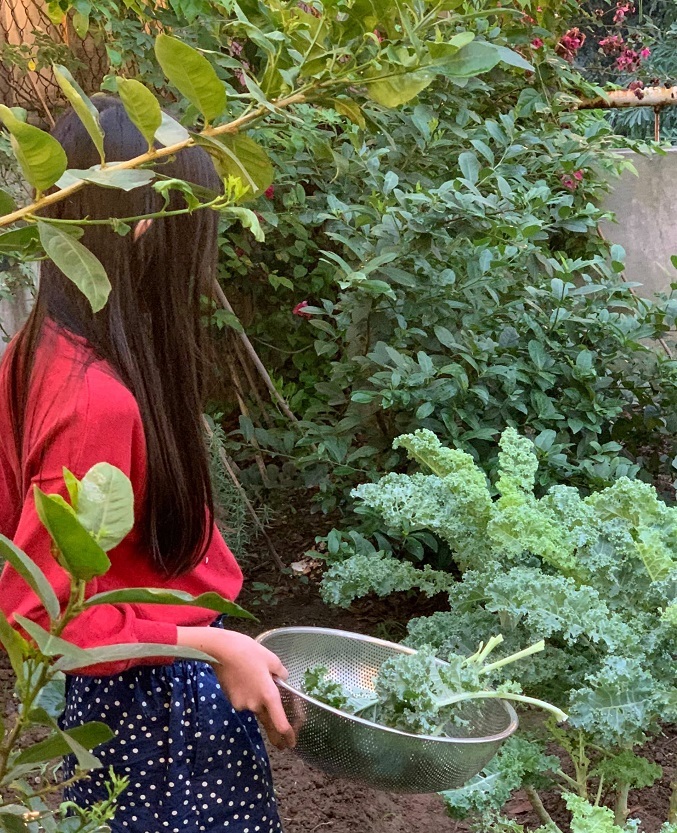 Vườn treo trên sân thượng ngập hoa trái của bà mẹ hai con ở Hà Nội
