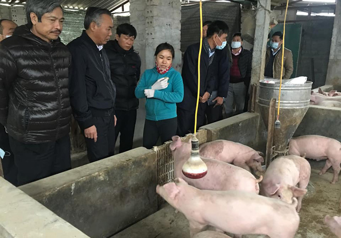 Mạnh tay chấn chỉnh việc giết mổ động vật mắc bệnh