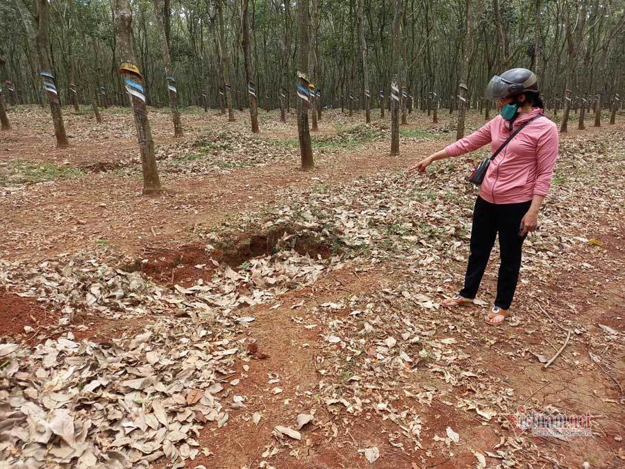 Bắt thiếu niên 16 tuổi nghi đánh đập dã man nữ sinh lớp 6 ở lô cao su