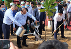 Trồng mới 10 triệu cây xanh để hiện thực hóa sáng kiến của Thủ tướng