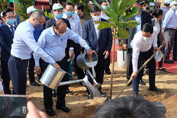 Trồng mới 10 triệu cây xanh để hiện thực hóa sáng kiến của Thủ tướng