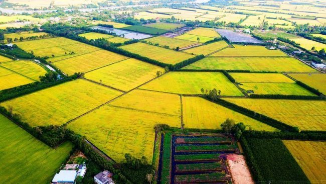 Resolution 120 changes the mindset about Mekong Delta development: expert