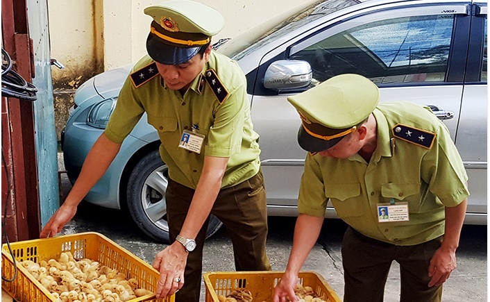 Lào Cai siết chặt đường mòn, lối mở ngăn chặn vận chuyển gia cầm trái phép