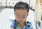 Bé trai 4 tuổi bị rắn cắn khi đi thả diều