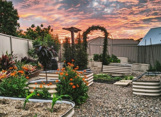 Khu vườn nhỏ đủ loại cây trái của cặp đôi yêu nhau 16 năm