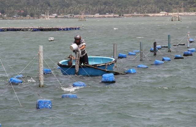 Vietnam’s $8 billion seafood industry warned of risks