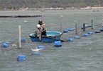 Vietnam’s $8 billion seafood industry warned of risks