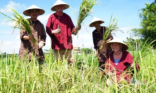 Hoi An farmers earn high income from buffalo tour