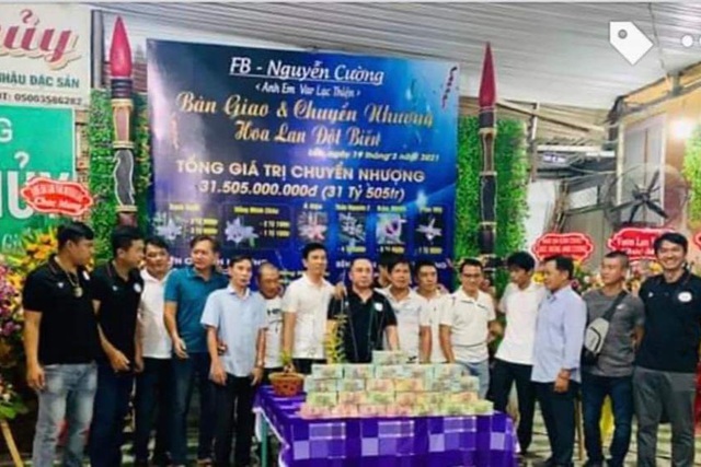 Vụ chuyển nhượng lan 31,5 tỷ đồng chỉ là 'màn kịch câu like'!