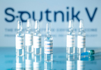 Vietnam Urgently Approves Russian Sputnik V Vaccine