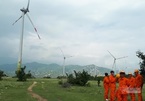 Wind power overdevelopment faces risks