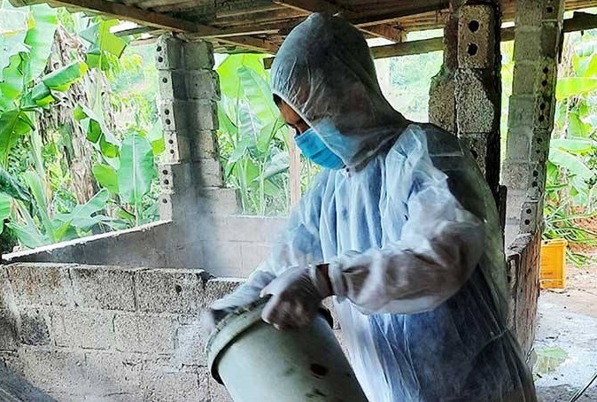 Phát huy vai trò nhân viên thú y viên cơ sở trong phòng chống dịch bệnh trên đàn gia súc