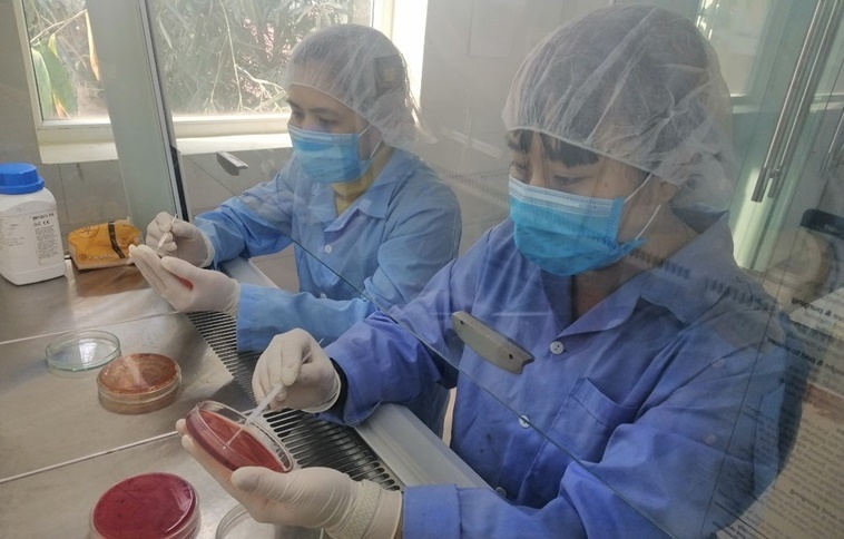 Vai trò của xét nghiệm nhanh trong phát hiện dịch bệnh trên đàn gia súc