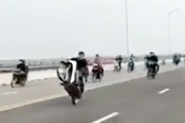 Triệu tập nhóm nam nữ bốc đầu xe máy trên cầu Cửa Hội