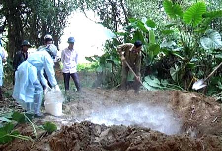 Quảng Nam rốt ráo  tiêu độc, khử trùng môi trường chăn nuôi gia cầm