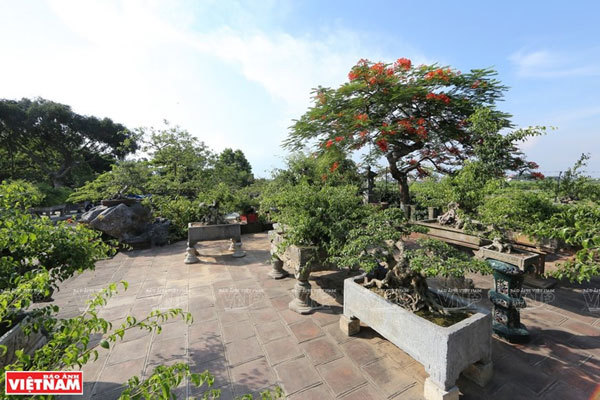 Hong Van bonsai village on Hanoi’s outskirts