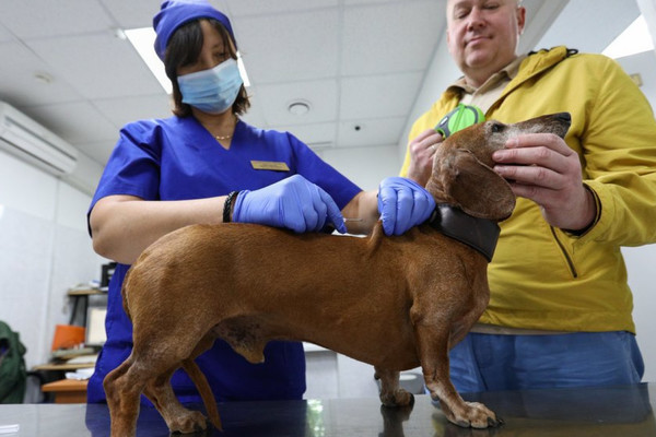 Nga đăng ký vắc-xin Covid-19 cho động vật đầu tiên trên thế giới