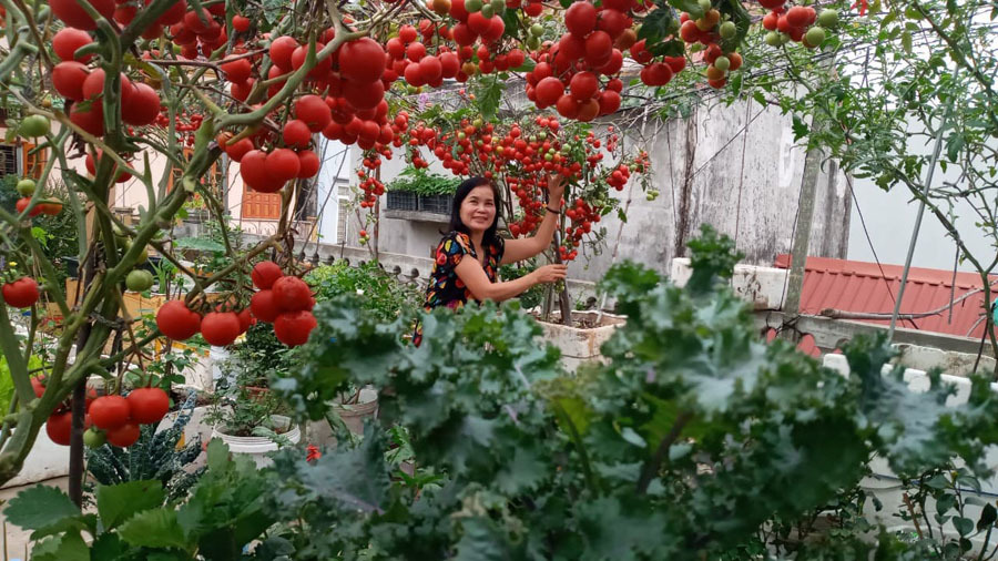 Phường đoàn Tân Hiệp (TX.Tân Uyên): Tổ chức cho đoàn viên thanh niên về nguồn