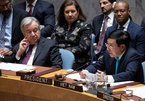 Vietnam vows to best fulfil role as UNSC Presidency in April