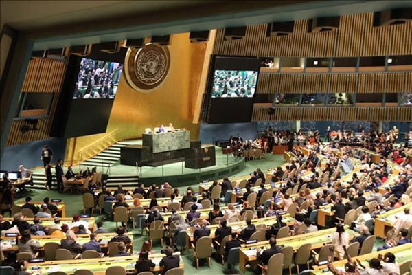 Vietnam affirms international position via role in UNSC