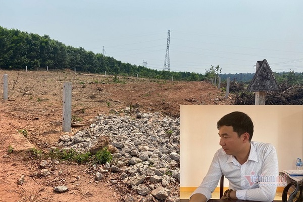 'Quan xã' vô tư xẻ đất rừng phân lô cấp cho dân ở Quảng Trị