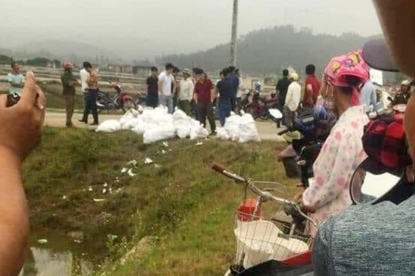 Bắt giữ hơn 2 tạ ma túy ở Nghệ An