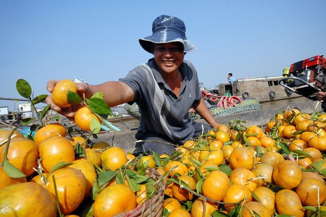 For natural development of the Mekong Delta