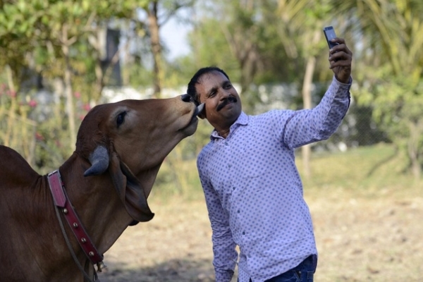 Ấn Độ đau đầu vì nhiều người chết do mải chụp ảnh 'tự sướng'