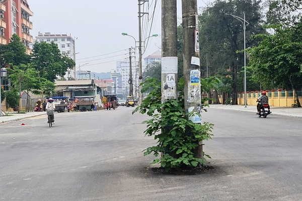 Hàng cột điện ‘chình ình’ giữa đường phố ven biển Sầm Sơn