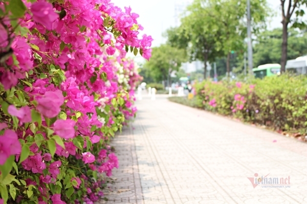 Vợ đẹp bất ngờ khi biết chồng ngoại tình với người kém nhan sắc