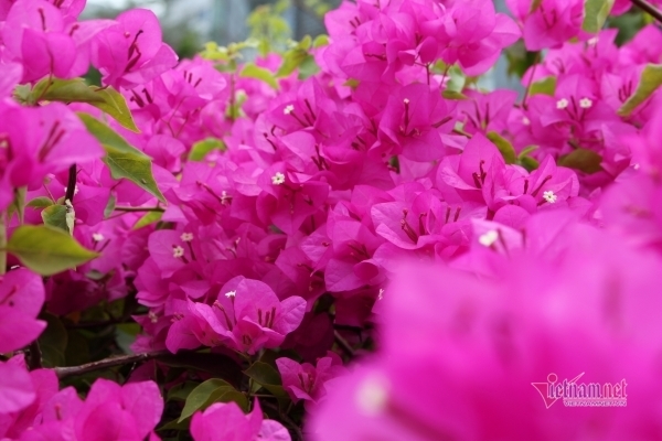 Năm bí quyết để mẹ chồng khiến con dâu nể phục