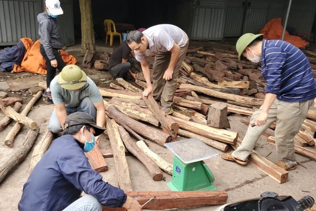 Ghé chợ 'củi khô' xem người bán kiếm trăm triệu đồng mỗi năm