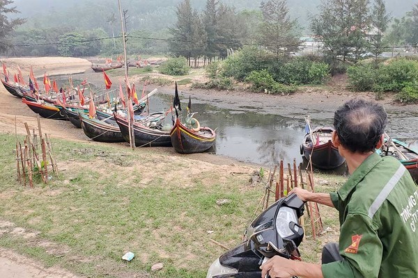 Cá chết dạt trắng bờ biển, ngư dân huyện Nghi Lộc ngừng ra khơi