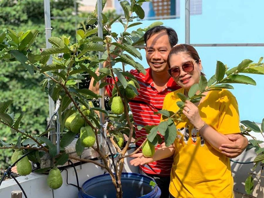 Vườn sân thượng 7m2 đầy cây trái của vợ chồng Sài Gòn