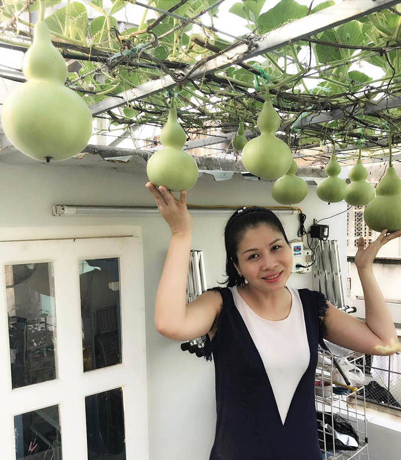 Vườn sân thượng đầy cây trái của vợ chồng Sài Gòn