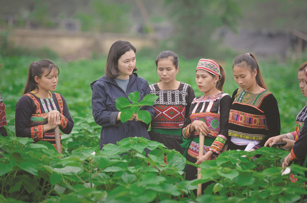 New crop keeps families together