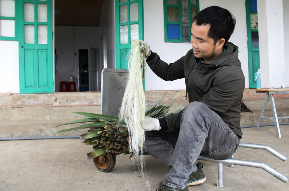 Độc nhất Việt Nam: Tách sợi lá dứa bỏ đi dệt thành hàng thời trang