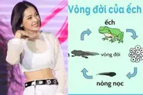Học RMIT mà sao Chi Pu không biết nòng nọc là con của ếch?