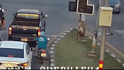 Vừa chơi game vừa lái xe, tài xế tông cột suýt 'lấy mạng' người